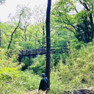 サングラス外そか