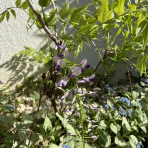 セッションでした♫